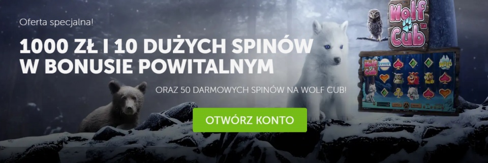 Jaka oferta powitalna w Kasynie Betsafe?